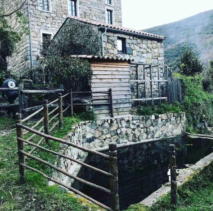 Casa Arena Authentique Maison De Village Avec Piscine Au Coeur De L'alta Rocca - Casa de Férias