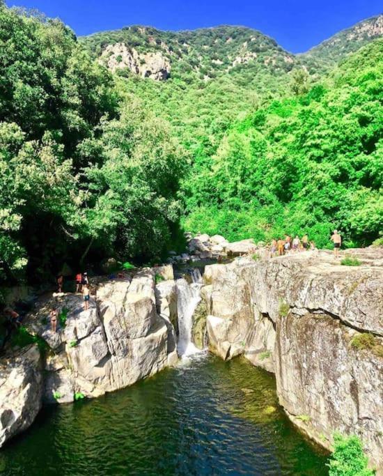 Casa Arena Authentique Maison De Village Avec Piscine Au Coeur De L'alta Rocca - Casa de Férias *