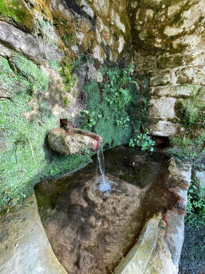 Casa Arena Authentique Maison De Village Avec Piscine Au Coeur De L'alta Rocca - Casa de Férias