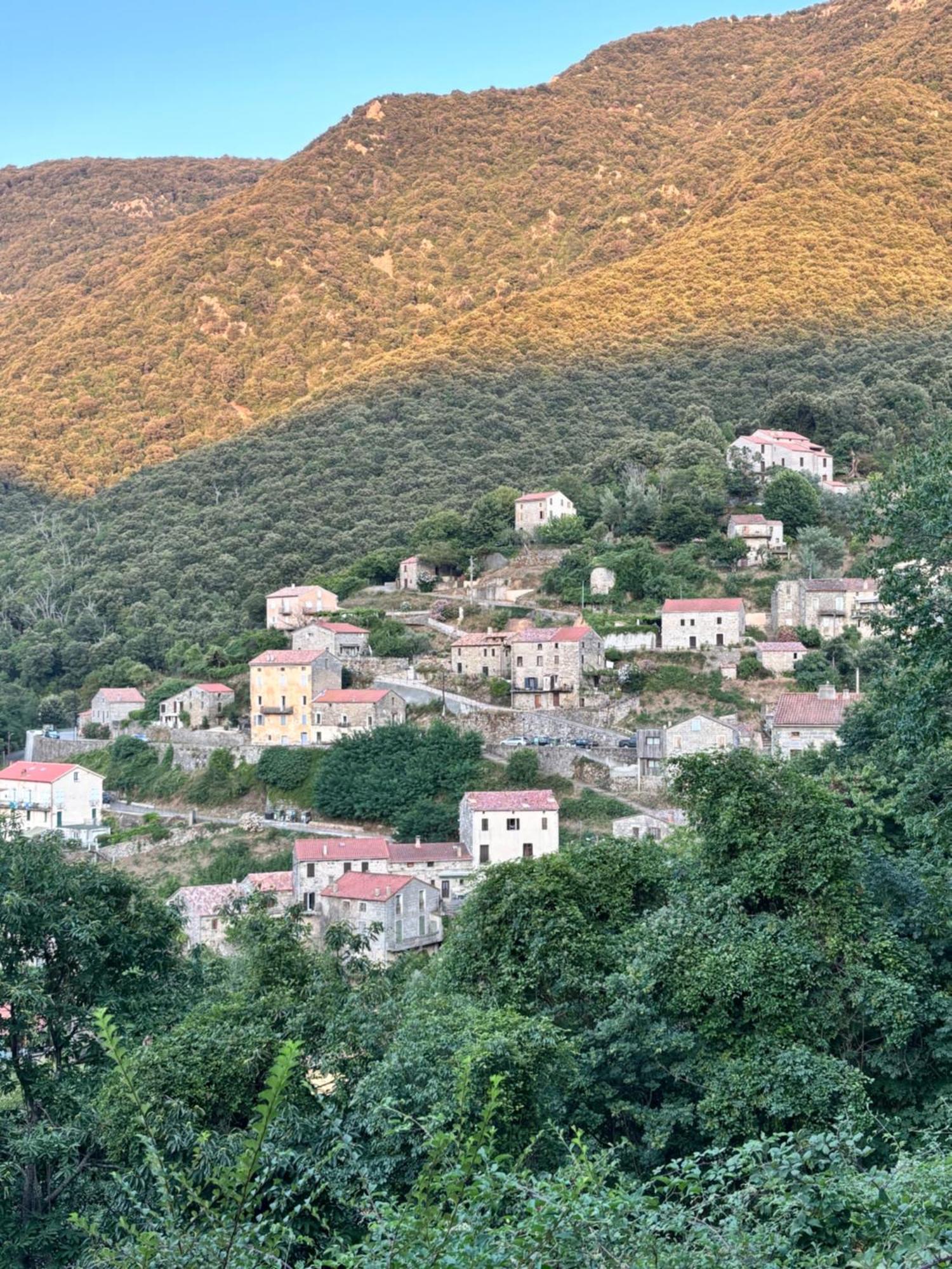 Casa Arena Authentique Maison De Village Avec Piscine Au Coeur De L'alta Rocca - Zoza