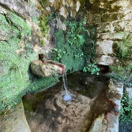 Casa Arena Authentique Maison De Village Avec Piscine Au Coeur De L'Alta Rocca - Zoza Exterior photo