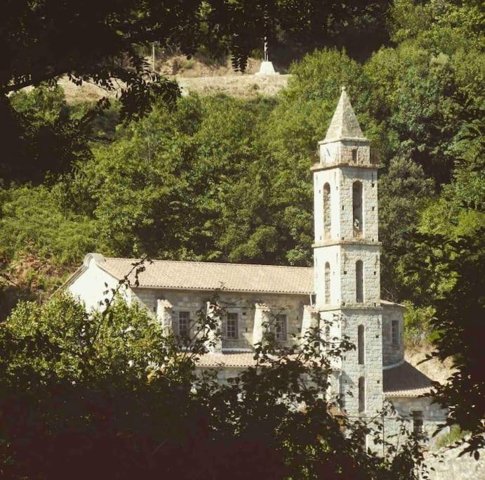 Casa Arena Authentique Maison De Village Avec Piscine Au Coeur De L'alta Rocca - * Zoza