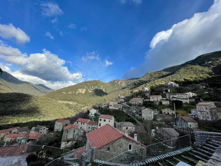 Ferienhaus Casa Arena Authentique Maison De Village Avec Piscine Au Coeur De L'alta Rocca - Zoza