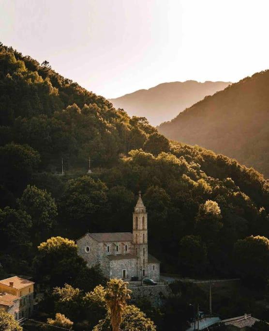 Casa Arena Authentique Maison De Village Avec Piscine Au Coeur De L'alta Rocca - * Zoza