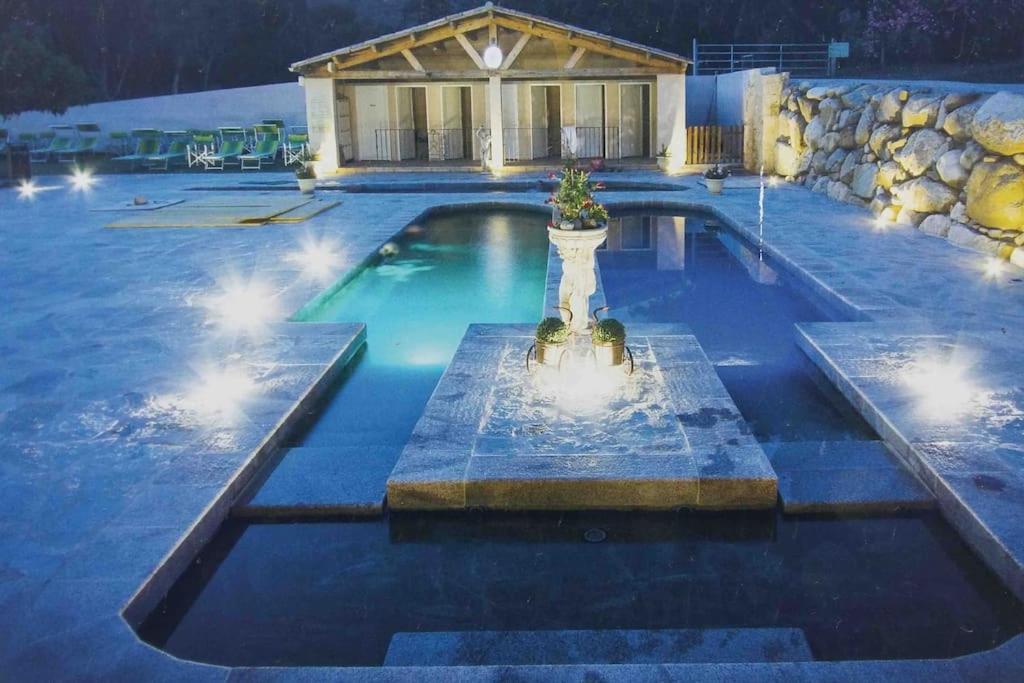 Casa Arena Authentique Maison De Village Avec Piscine Au Coeur De L'alta Rocca - * Zoza