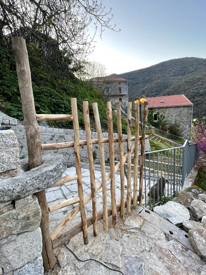 Casa Arena Authentique Maison De Village Avec Piscine Au Coeur De L'alta Rocca - Holiday home *